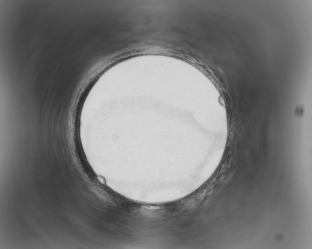 X0000116320055201001131012