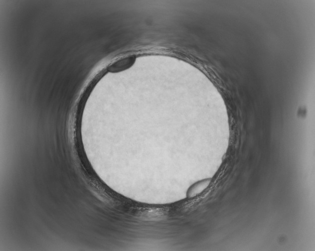 X0000116320056201001131012