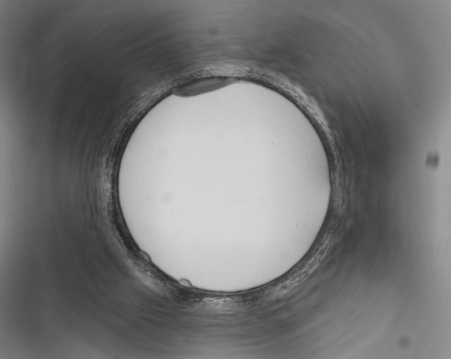 X0000116320057201001131012