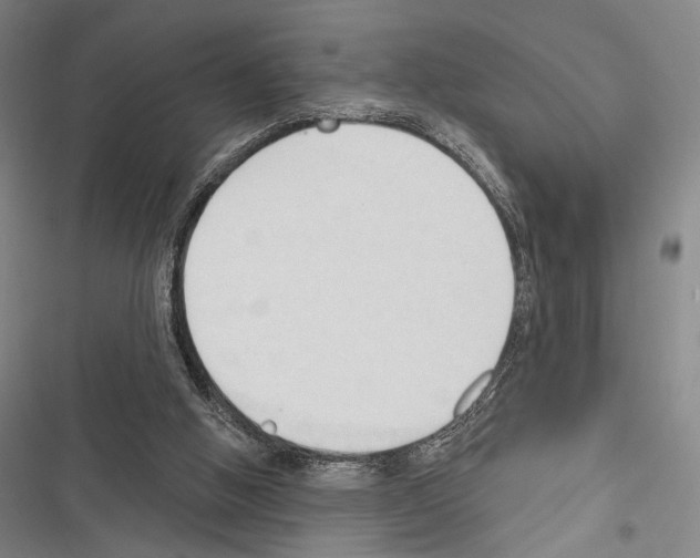 X0000116320058201001131012