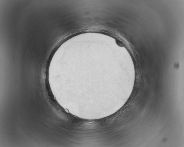 X0000116320059201001131012