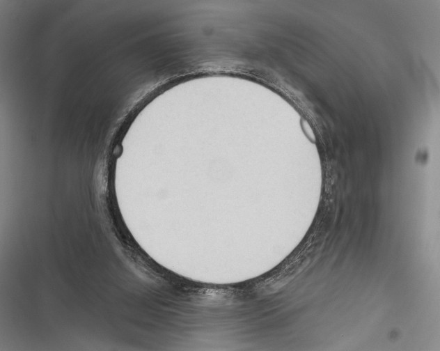 X0000116320060201001131012