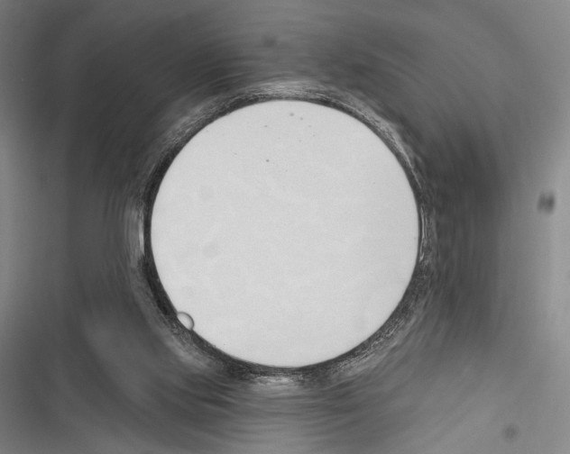 X0000116320061201001131012