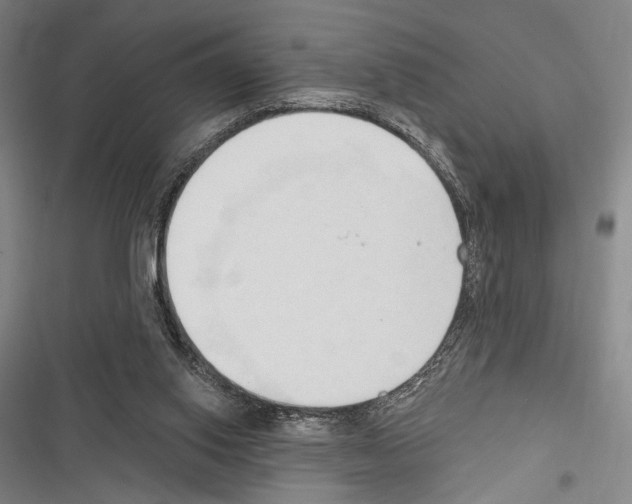 X0000116320062201001131012