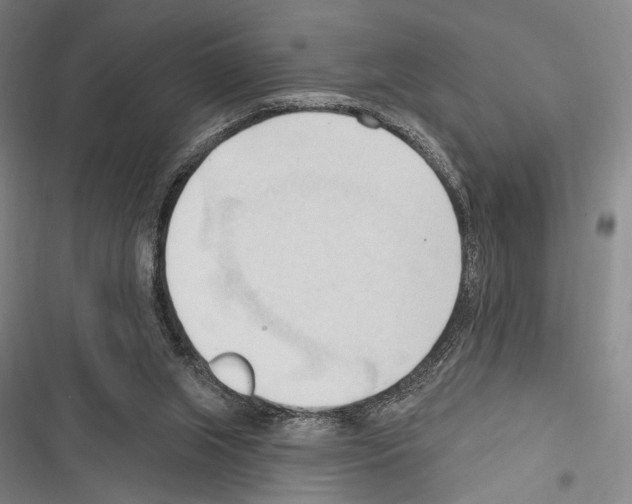 X0000116320063201001131012