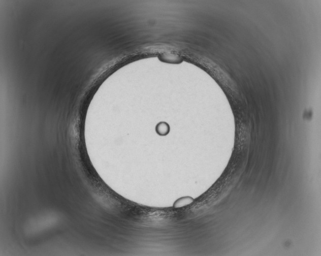 X0000116320064201001131012