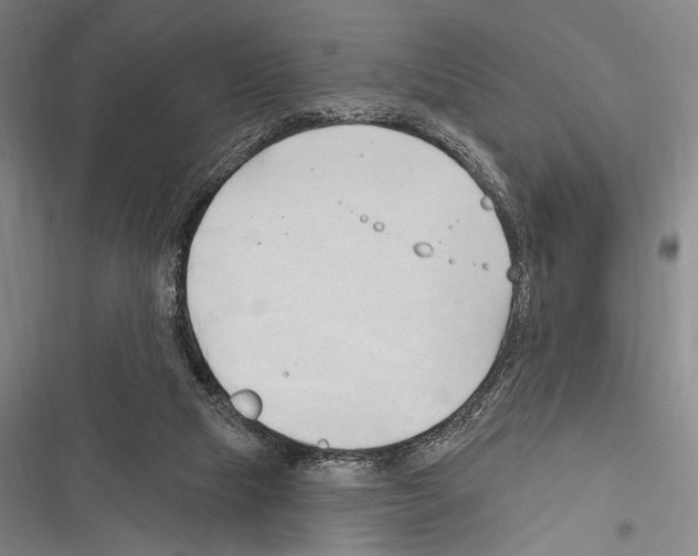 X0000116320065201001131012