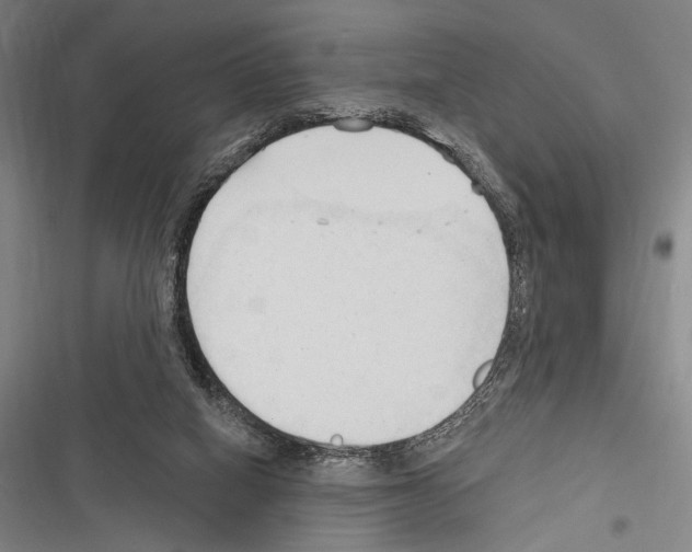 X0000116320066201001131012