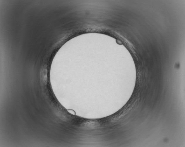 X0000116320067201001131012