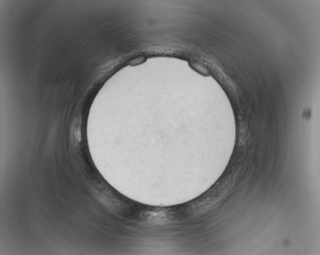 X0000116320068201001131012