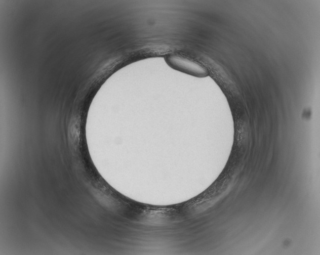 X0000116320072201001131012