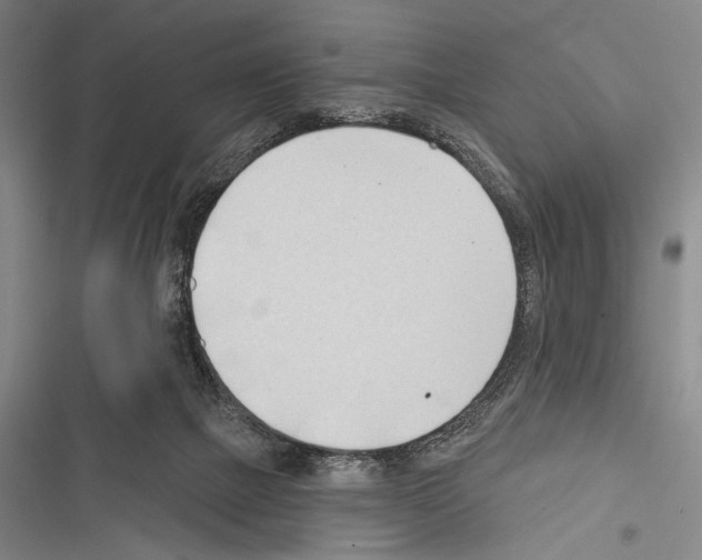 X0000116320073201001131012