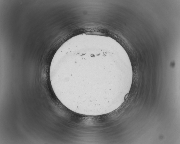 X0000116320074201001131012