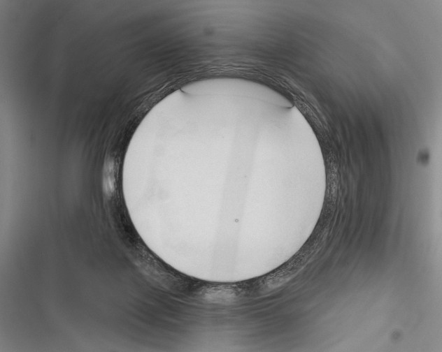 X0000116320075201001131012