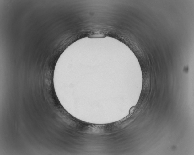 X0000116320078201001131012