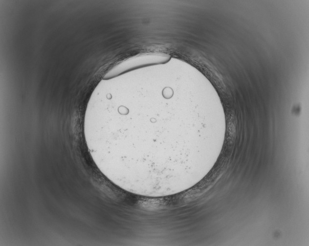 X0000116320079201001131012