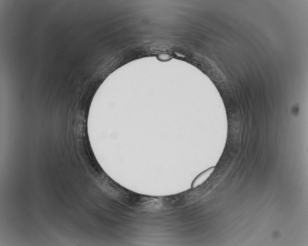 X0000116320083201001131012