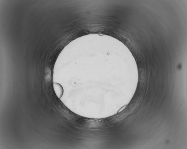 X0000116320089201001131012