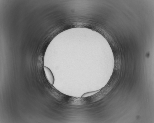 X0000116320093201001131012