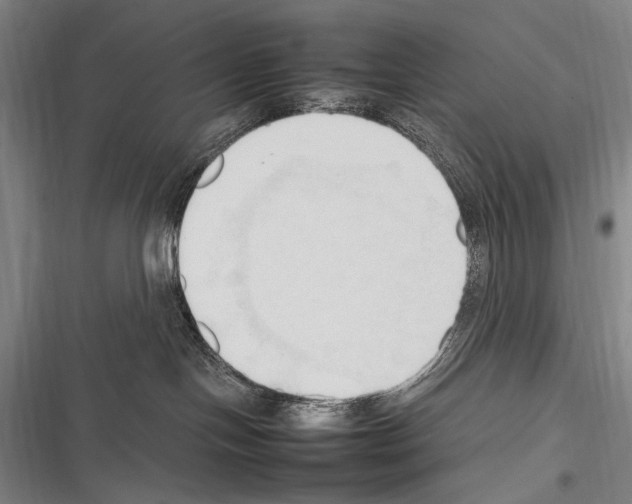 X0000116320094201001131012