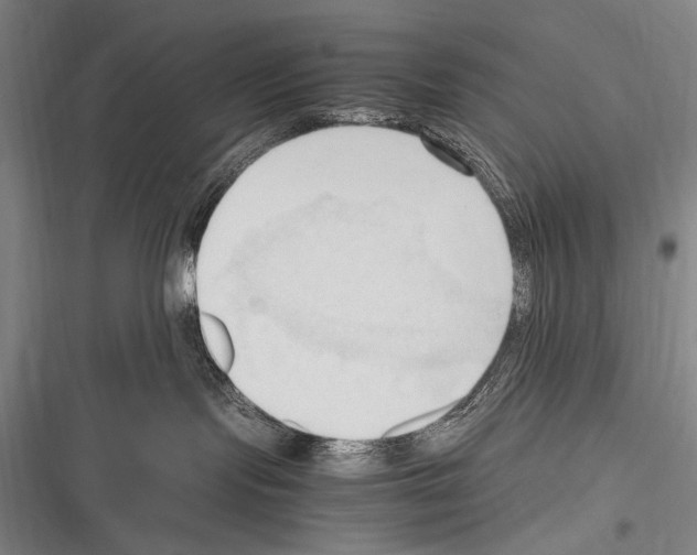 X0000116320095201001131012