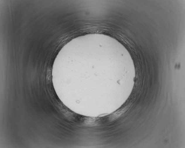 X0000116320096201001131012