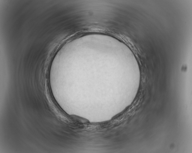 X0000116320097201001131012