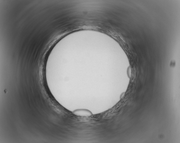 X0000116320098201001131012