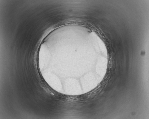 X0000116320099201001131012