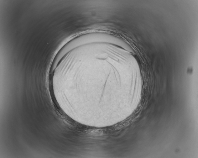 X0000116320100201001131012