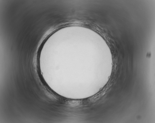 X0000116320102201001131012