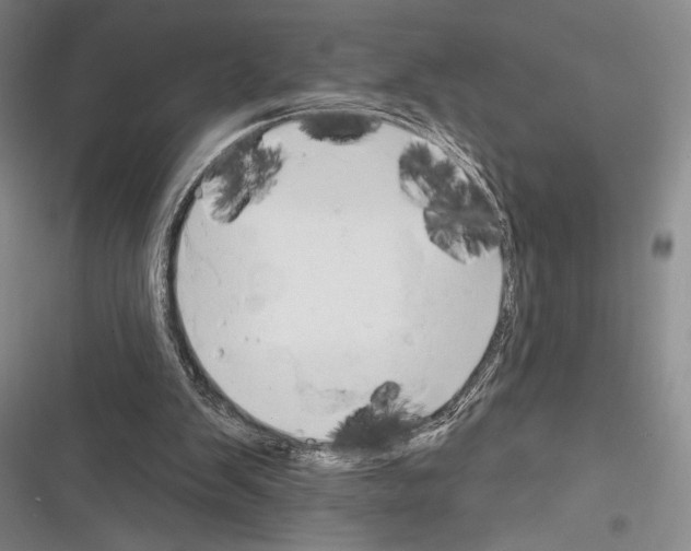 X0000116320103201001131012