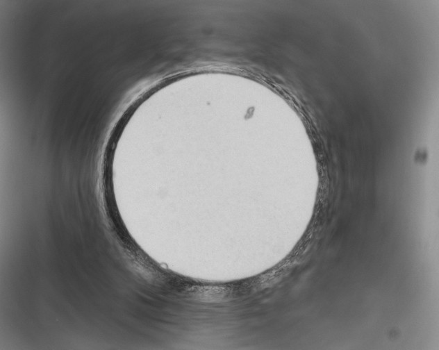 X0000116320104201001131012