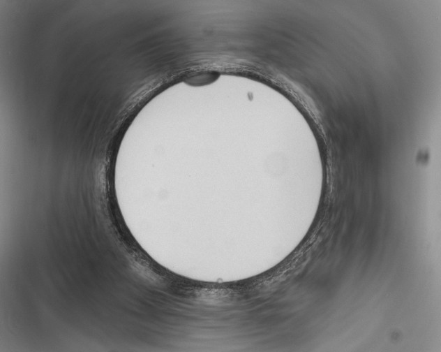 X0000116320105201001131012