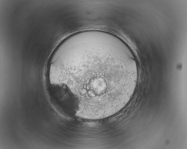 X0000116320107201001131012