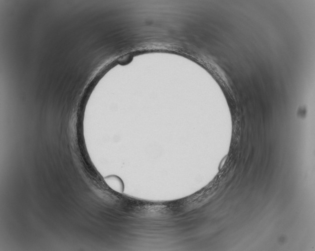 X0000116320108201001131012