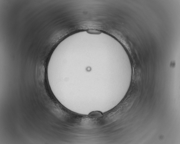 X0000116320109201001131012