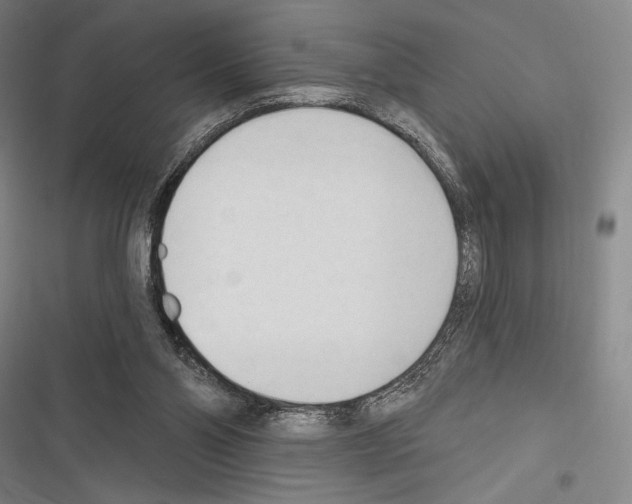 X0000116320110201001131012