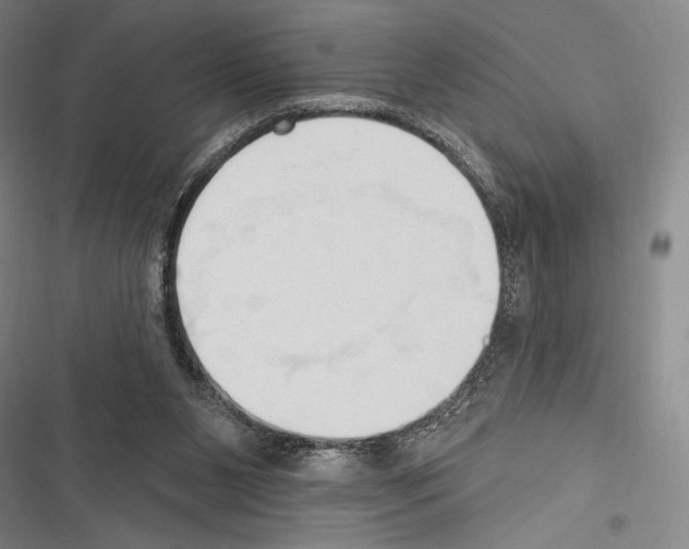 X0000116320111201001131012