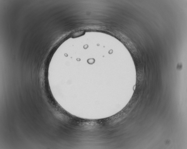 X0000116320112201001131012