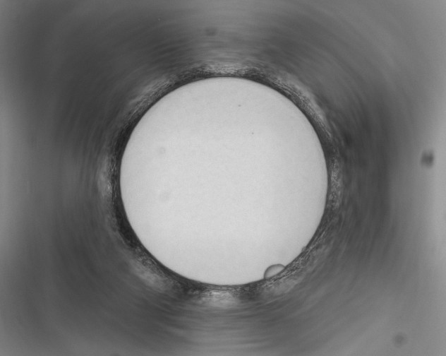 X0000116320114201001131011