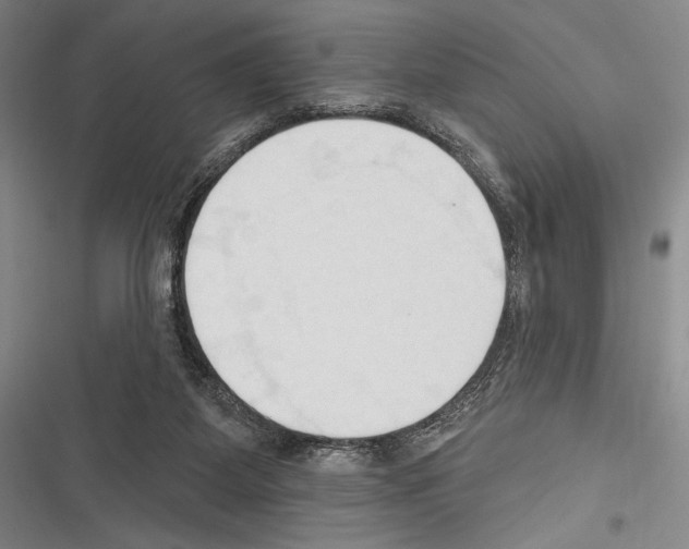 X0000116320115201001131011