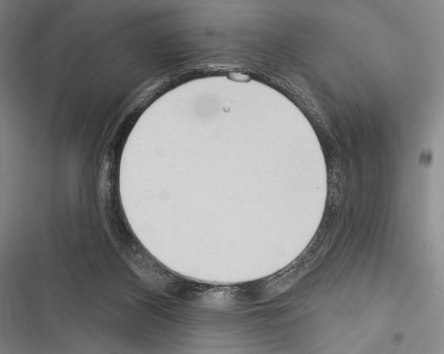 X0000116320116201001131011