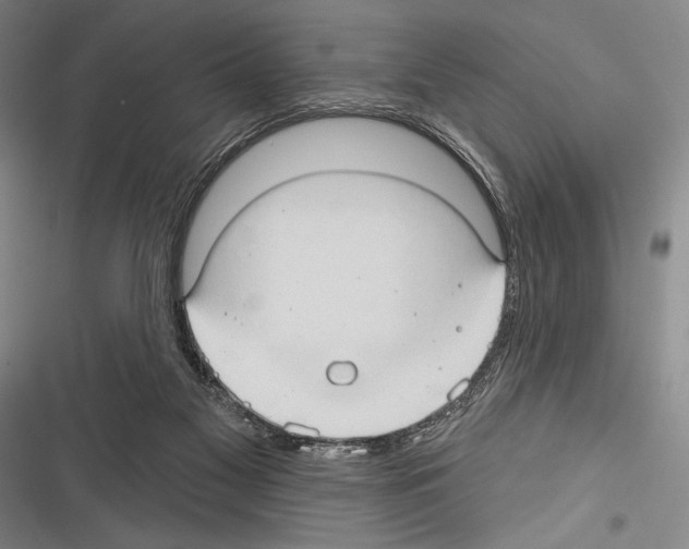 X0000116320117201001131011