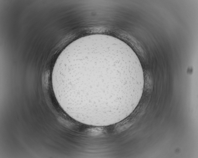 X0000116320118201001131011