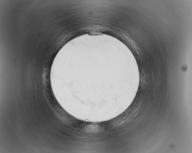 X0000116320119201001131011