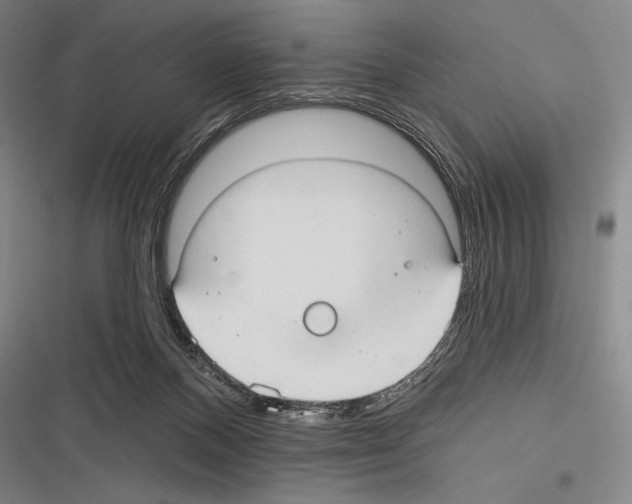 X0000116320120201001131011