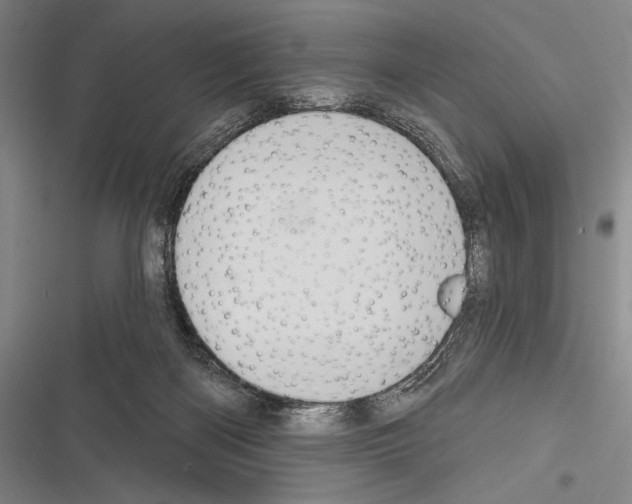 X0000116320122201001131011