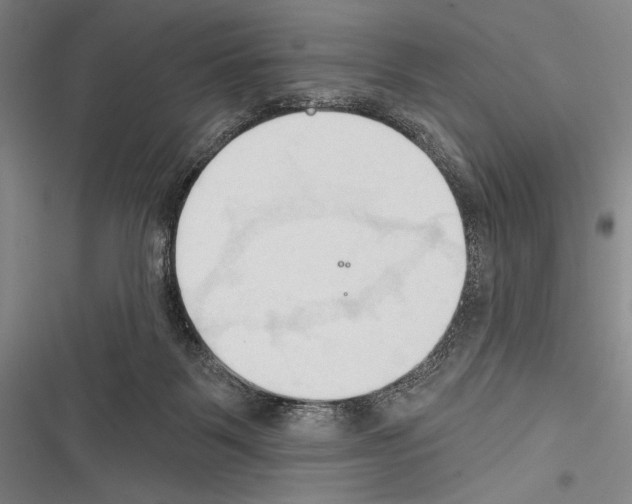 X0000116320123201001131011