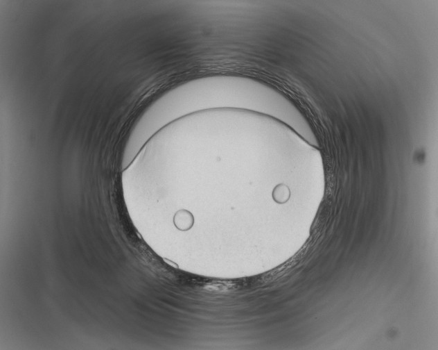 X0000116320124201001131011